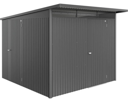 Porte supplémentaire biohort AvantGarde Eco gris foncé métallique Abri de jardin métallique avec toit plat