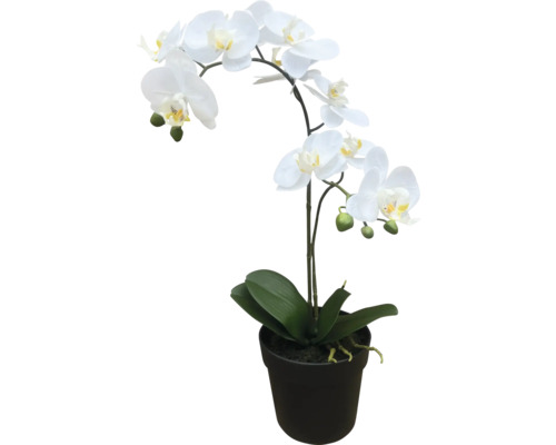 Kunstpflanze Orchidee H 54 cm weiß