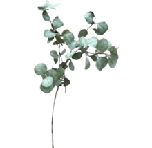 Eukalyptus Kunstpflanze mit runden Blättern