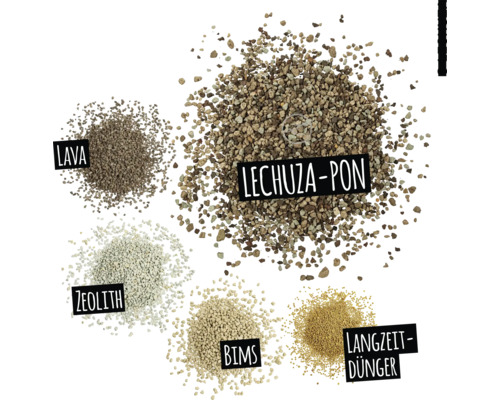 Différents types de substrats de culture : lave, Lechuza Pon, zéolite, pierre ponce et engrais longue durée.