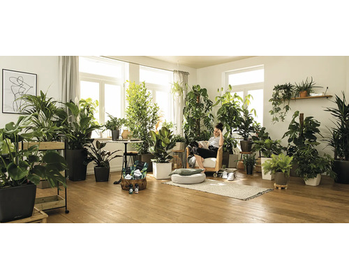 Pièce lumineuse avec de nombreuses plantes d''intérieur et une femme assise dans un fauteuil.