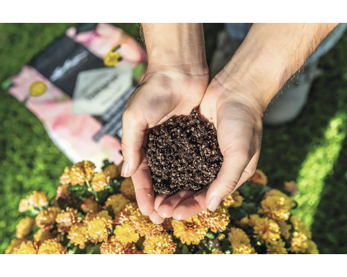 Une personne tient du terreau dans ses mains, devant un fond de fleurs et un emballage de terreau.
