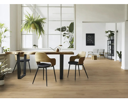 Heller Raum mit Holzboden, Esstisch, Stühlen und Zimmerpflanzen