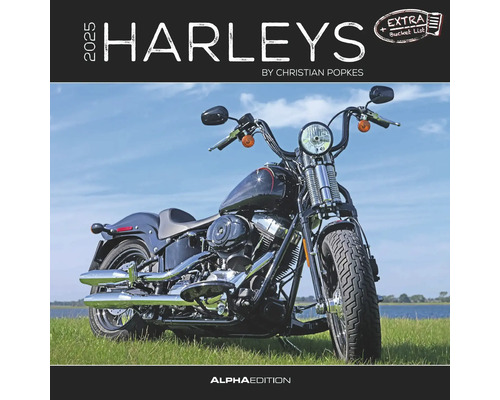 Calendrier mural Harleys 2025 30x30 cm