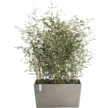 Pot de fleurs Ecopots Paris plastique Ø 96,6 cm 99,7 x 46,4 x 51 cm brun