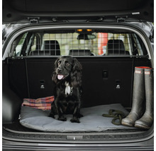 Hund sitzt im Kofferraum eines Autos mit Hundegitter, Hundebett und Gummistiefeln