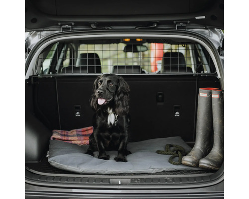 Hund sitzt im Kofferraum eines Autos mit Hundegitter, Hundebett und Gummistiefeln