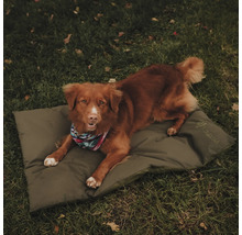 Chien allongé sur un tapis pour chien à l''extérieur.