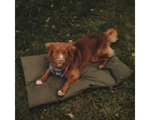 Hund liegt auf einer Hundematte im Freien.