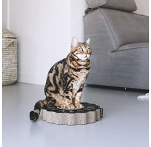 Chat assis sur un grattoir pour chat en carton