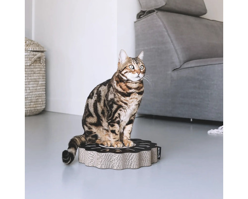 Chat assis sur un grattoir pour chat en carton