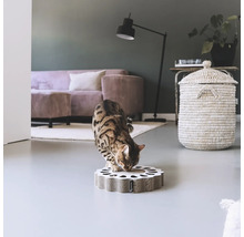 Chat sur un griffoir pour chat dans un salon
