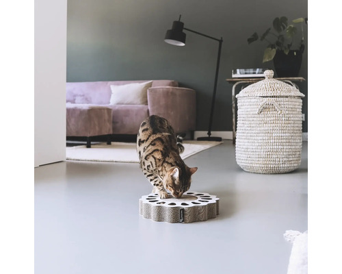Chat sur un griffoir pour chat dans un salon