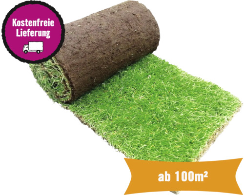 Gazon en rouleau sport & jeu quantité de commande à partir de 100 m² pelé du jour, résistant, régénération rapide, pour les emplacements ensoleillés à semi-ombragés, idéal pour les familles Un rouleau de gazon