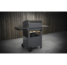 Gasgrill mit Rollen und Seitenablage vor einer Holzwand