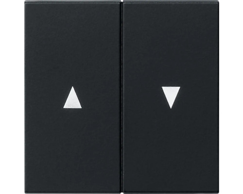 Interrupteur à bascule double avec symbole de flèche ALTE Generation Gira 0294005 E2 noir/mat Insert d''interrupteur avec symboles fléchés