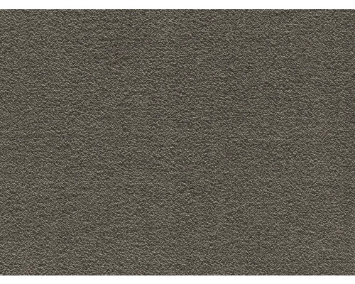 Teppichboden Shaggy Feliz dunkelbeige FB43 500 cm breit (Meterware)