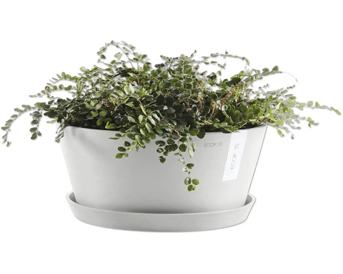 Drahtwein im Topf mit Untersetzer