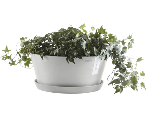 Pot Ecopots avec plante de lierre