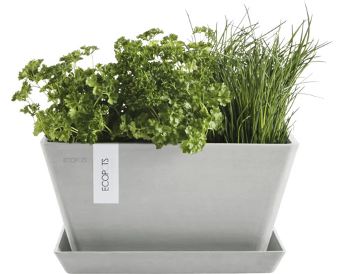 Rechteckiger Pflanzkasten mit Kräutern und Untersetzer