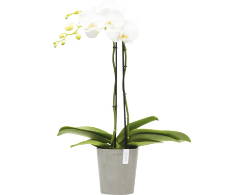 Künstliche Orchidee im Topf als Dekoration