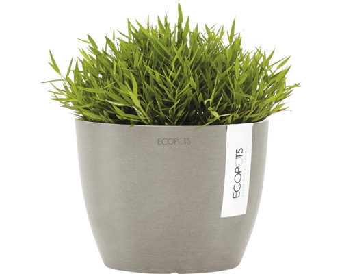 Herbe ornementale verte dans un pot Ecopots gris.