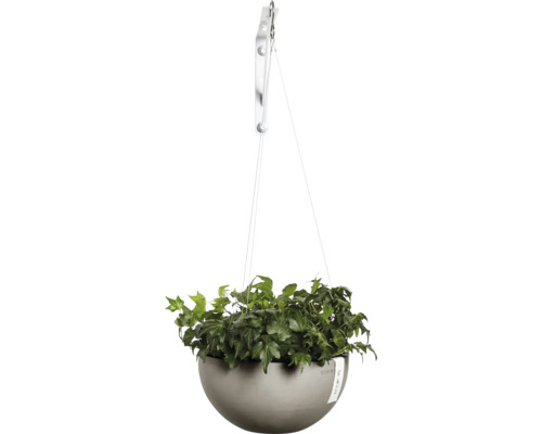 Suspension avec plante verte dans un pot gris.