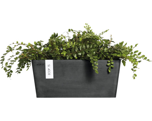 Rechteckiger Pflanzkasten mit grüner Pflanze