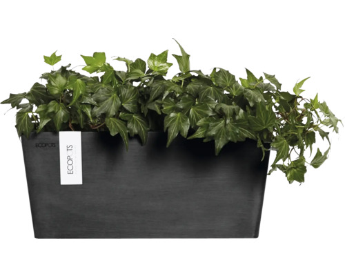 Schwarzer Pflanzkasten mit Efeu