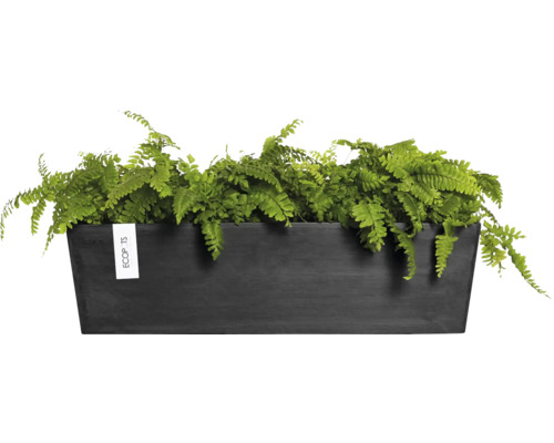 Rechteckiger Pflanzkasten mit Farn