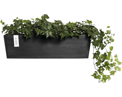 Schwarzer Pflanzkasten mit Efeu