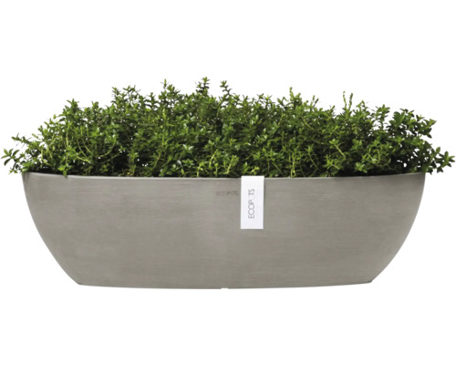 Ovaler Pflanzkasten mit grünen Pflanzen