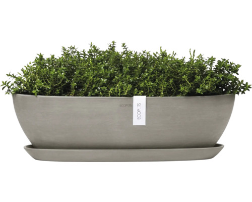 Grauer Kräutertopf aus Terrakotta mit Thymian