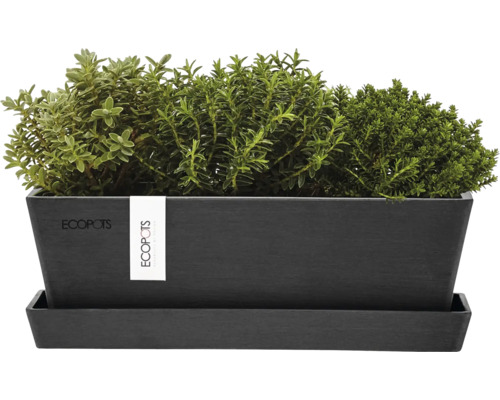 Rechteckiger Pflanzkasten mit Kräutern und Untersetzer