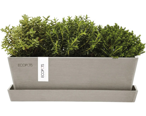 Jardinière avec herbes aromatiques sur soucoupe