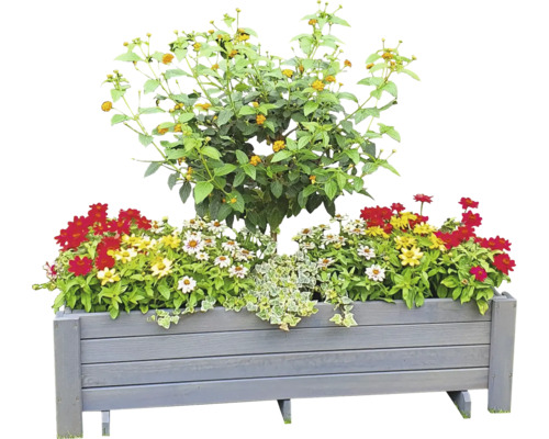 Jardinière Romantica promadino bois78 x 38 x 34 cm gris