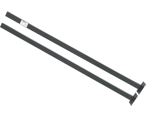 Poteaux Lilie, Leone set de 2 avec dalle de sol 6 x 3 x 180 cm anthracite Deux poutres de support en acier pour étagères