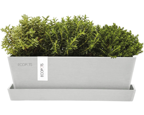 Rechteckiger Pflanzkasten mit Kräutern und Untersetzer