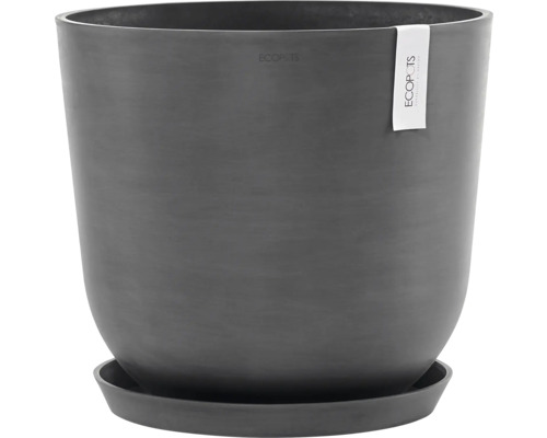 Blumentopf mit Untersetzer