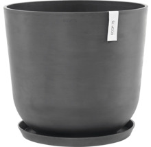 Pot de fleurs avec soucoupe