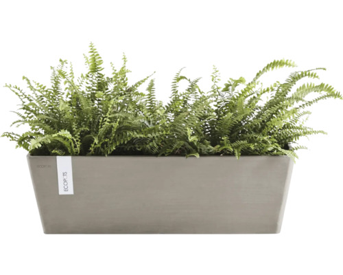 Rechteckiger Pflanzkasten mit Farn