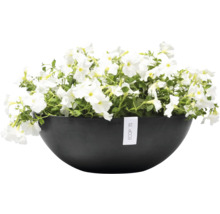 Blumentopf Ecopots Kunststoff Ø 48,2 cm 50,4 x 50,4 x 18,5 cm grau