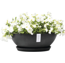 Blumentopf Ecopots Kunststoff Ø 48,2 cm 50,4 x 50,4 x 18,5 cm grau