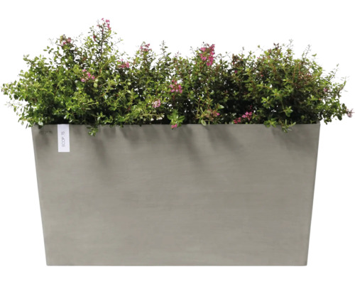 Jardinière avec des plantes vertes et de petites fleurs