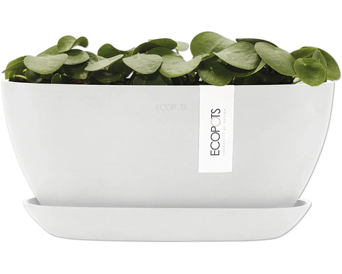 3 Soucoupes Végétales Carrées Noires 25x25cm - Plateaux D'Égouttement Plastique Robuste Pour Pots De Fleurs Et Plantes D'Intérieur