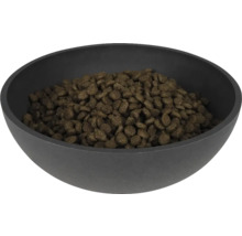 Schwarze Schale gefüllt mit Hundefutter