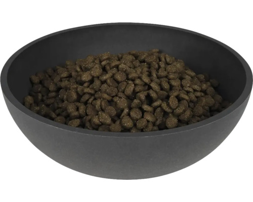 Schwarze Schale gefüllt mit Hundefutter
