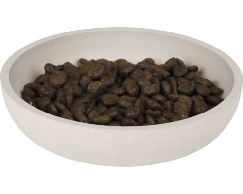 Hundenahrung in einer Schüssel