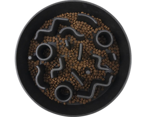 Gamelle pour chien avec labyrinthe d''alimentation intégré rempli de nourriture pour chien