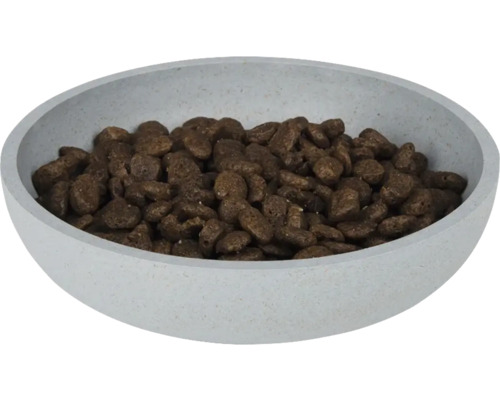 Gamelle remplie de nourriture sèche